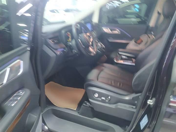 Hongqi HQ9 2023 2023款 2.0T 智联旗享版