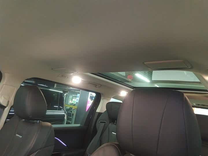 Hongqi HQ9 2023 2023款 2.0T 智联旗享版