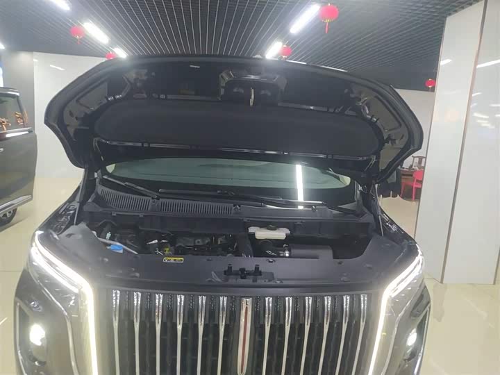 Hongqi HQ9 2023 2023款 2.0T 智联旗享版