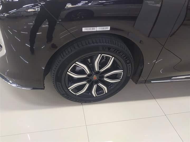 Hongqi HQ9 2023 2023款 2.0T 智联旗享版