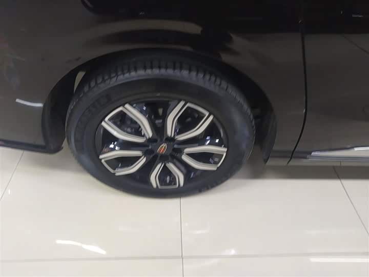 Hongqi HQ9 2023 2023款 2.0T 智联旗享版