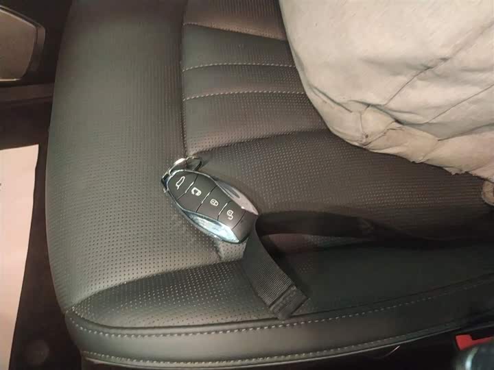 Hongqi HQ9 2023 2023款 2.0T 智联旗享版