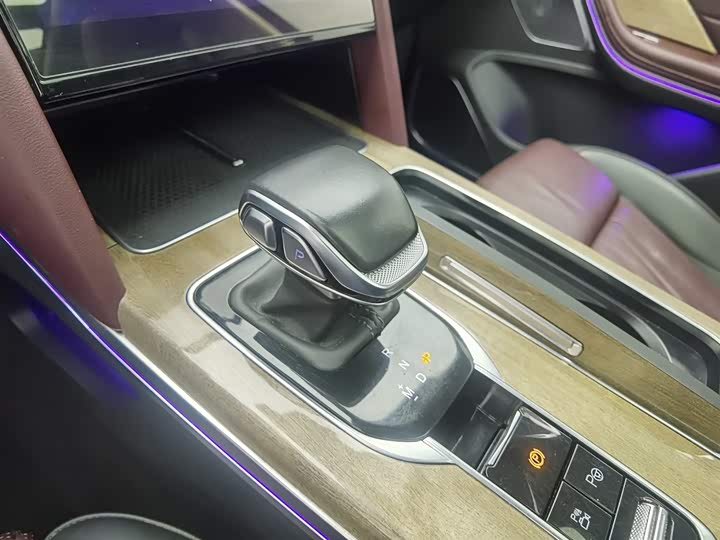 Hongqi HS7 2023 2023款 2.0T 自动四驱旗领版 六座