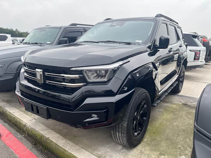 Tank 400 2025 2025款 2.0T 汽油版