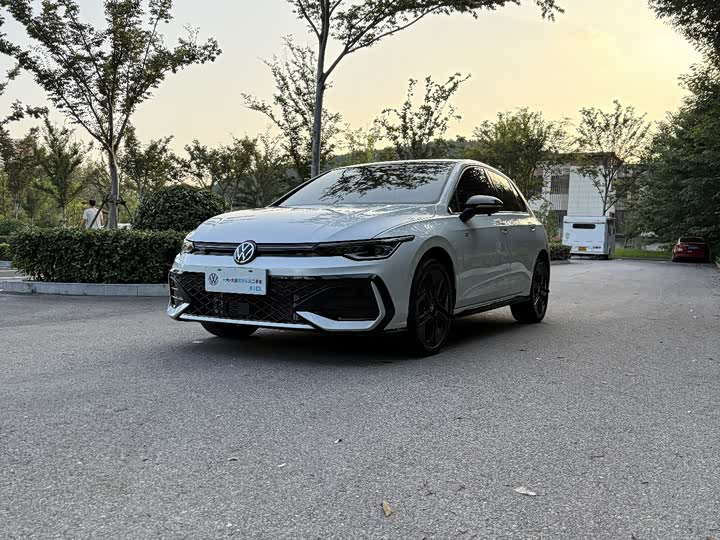 Volkswagen Golf 2025 2025款 300TSI R-Line