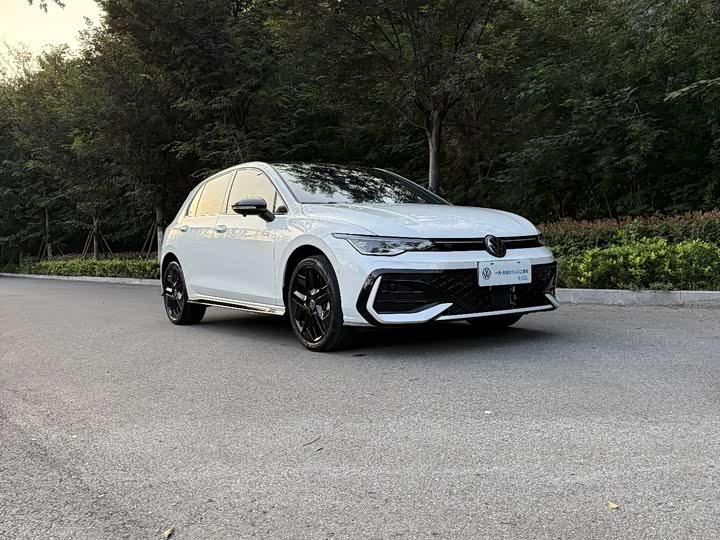 Volkswagen Golf 2025 2025款 300TSI R-Line