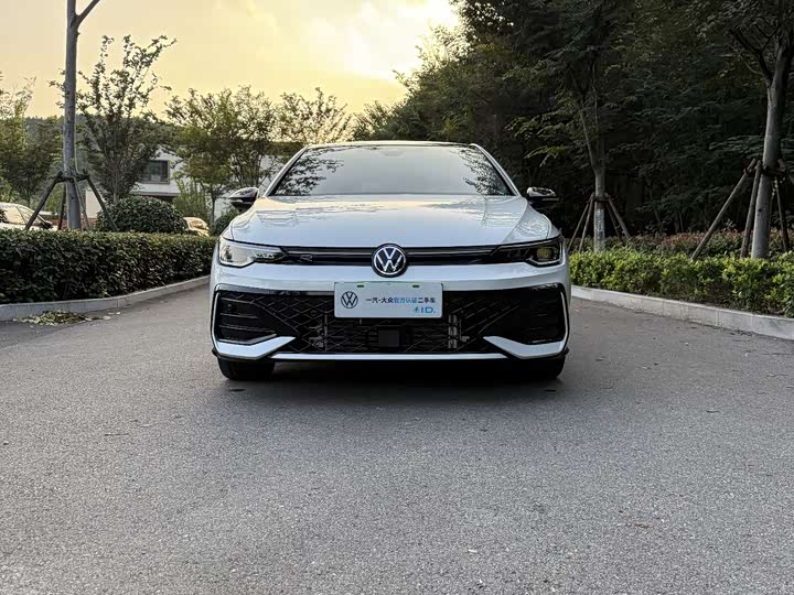 Volkswagen Golf 2025 2025款 300TSI R-Line