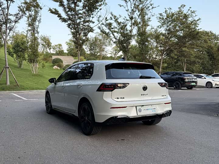 Volkswagen Golf 2025 2025款 300TSI R-Line