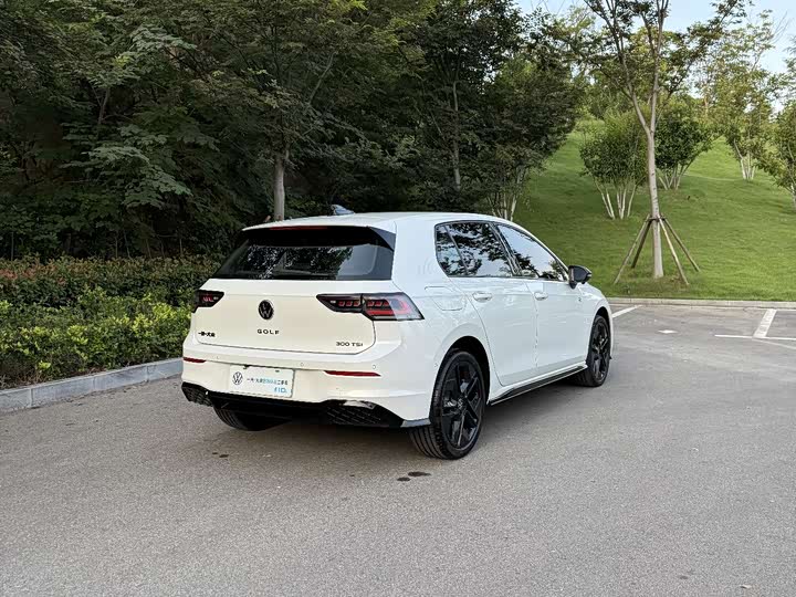 Volkswagen Golf 2025 2025款 300TSI R-Line
