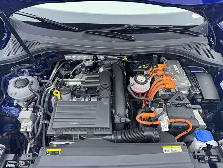 Volkswagen Tayron GTE Hybrid 2023 2023款 280TSI 豪华Plus进阶版