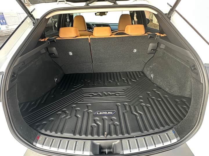 Lexus RZ 2023 2023款 450e 四驱纵享版