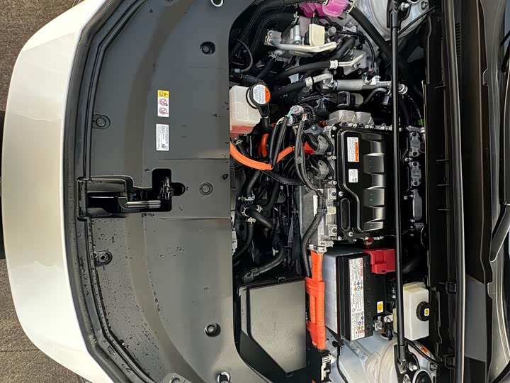 Lexus RZ 2023 2023款 450e 四驱纵享版