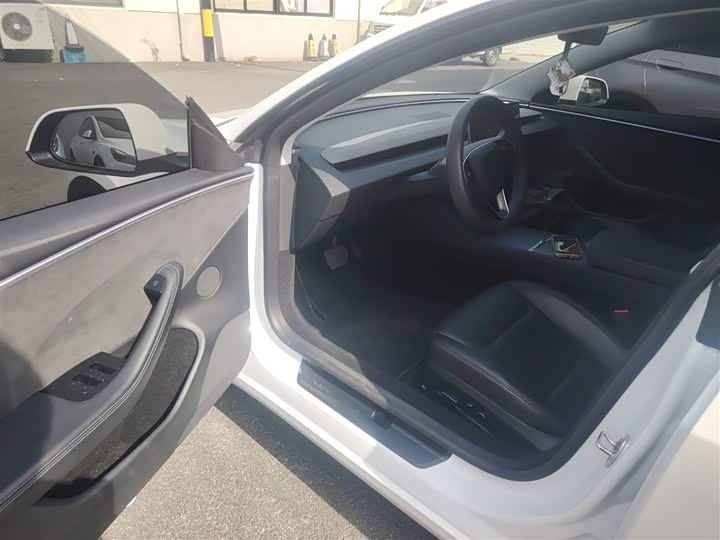 Tesla Model 3 2023 2023款 长续航全轮驱动版