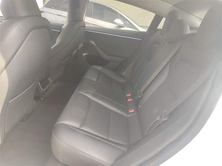 Tesla Model 3 2023 2023款 长续航全轮驱动版