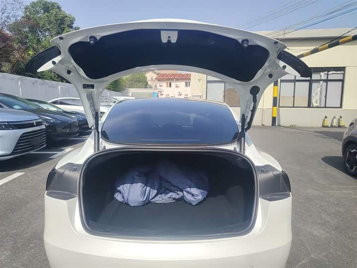 Tesla Model 3 2023 2023款 长续航全轮驱动版