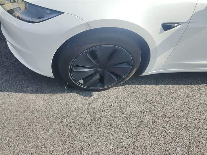 Tesla Model 3 2023 2023款 长续航全轮驱动版