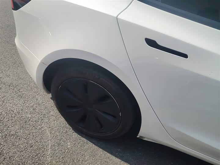 Tesla Model 3 2023 2023款 长续航全轮驱动版