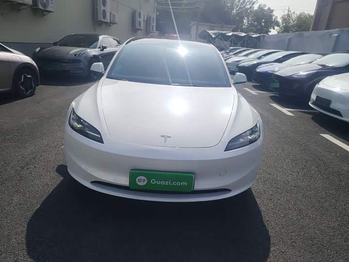 Tesla Model 3 2023 2023款 长续航全轮驱动版