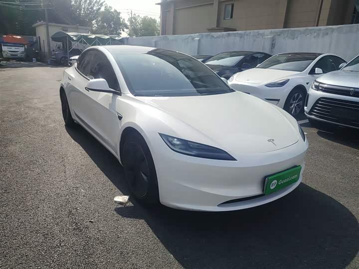 Tesla Model 3 2023 2023款 长续航全轮驱动版