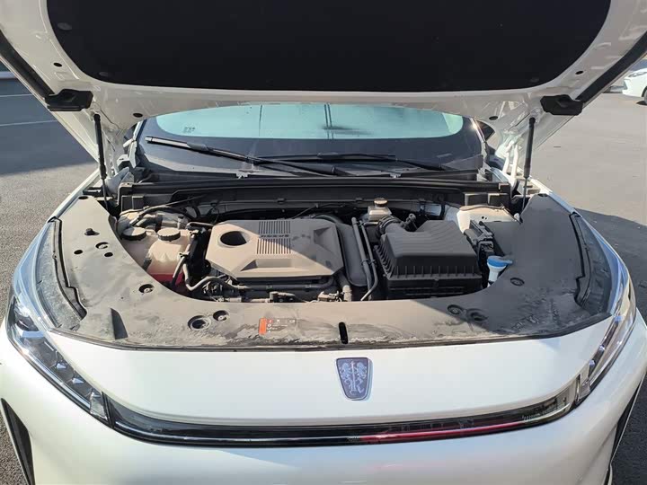 Roewe D5X DMH 2024 2024款 135科技版