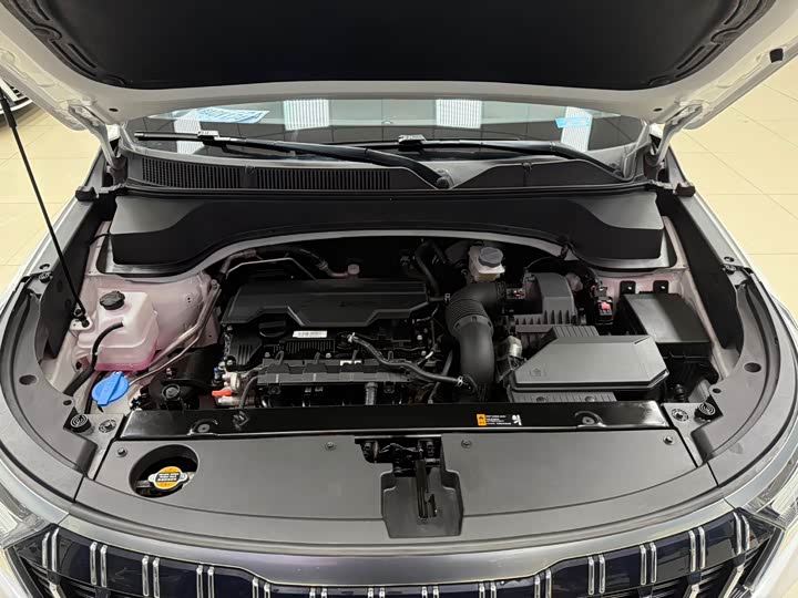 Kia Sportage GT-line 2021 2021款 Ace 2.0L 精彩版