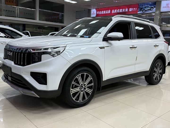 Kia Sportage GT-line 2021 2021款 Ace 2.0L 精彩版