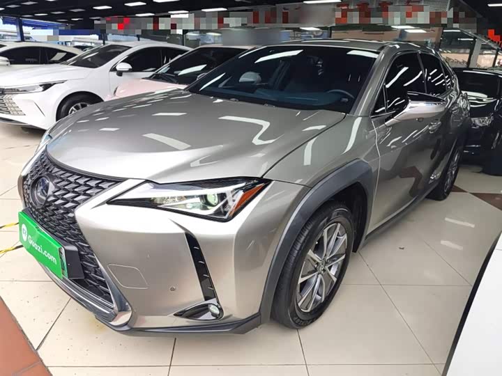 Lexus UX Hybrid 2020 2020款 300e 纯·悦版