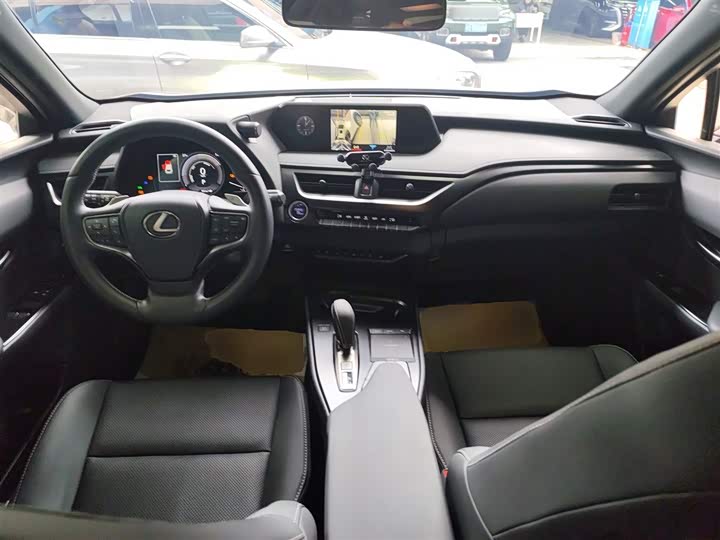 Lexus UX Hybrid 2020 2020款 300e 纯·悦版