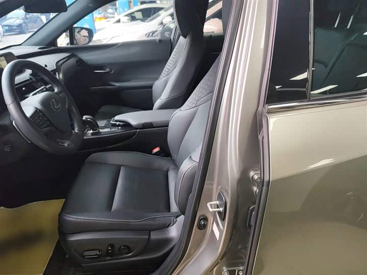 Lexus UX Hybrid 2020 2020款 300e 纯·悦版