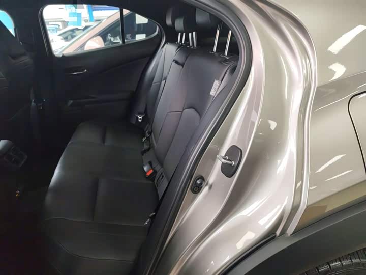 Lexus UX Hybrid 2020 2020款 300e 纯·悦版