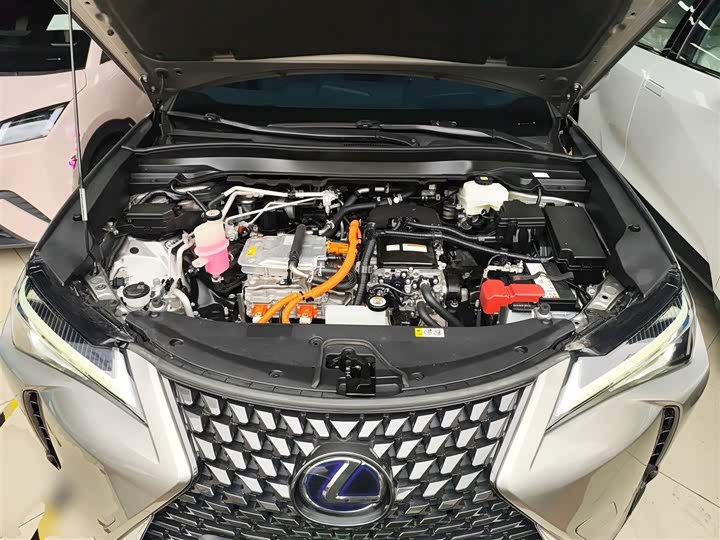 Lexus UX Hybrid 2020 2020款 300e 纯·悦版