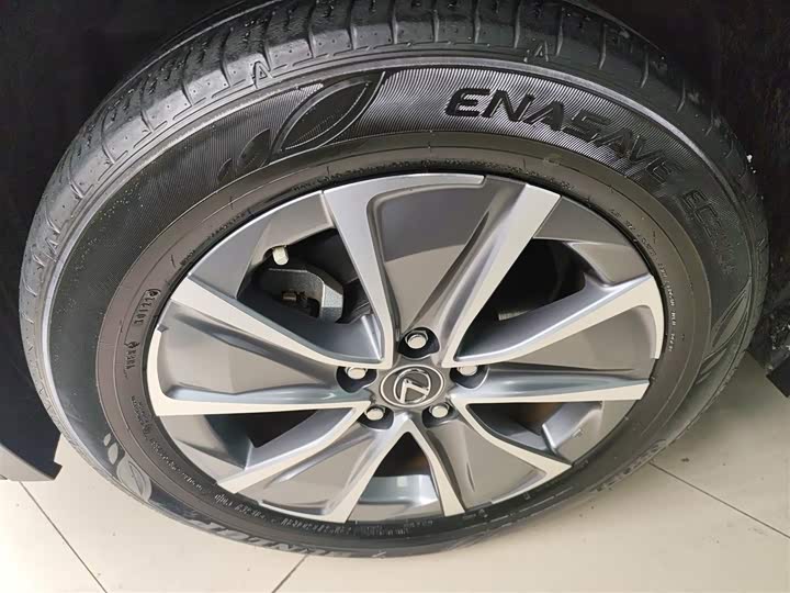 Lexus UX Hybrid 2020 2020款 300e 纯·悦版