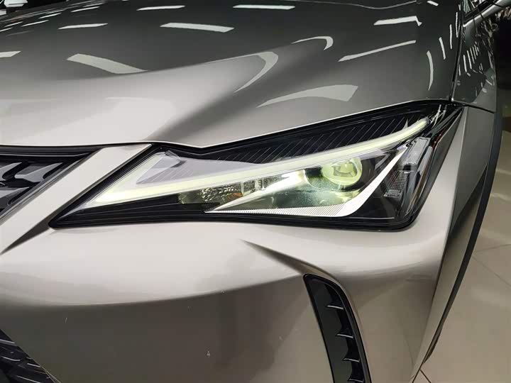 Lexus UX Hybrid 2020 2020款 300e 纯·悦版