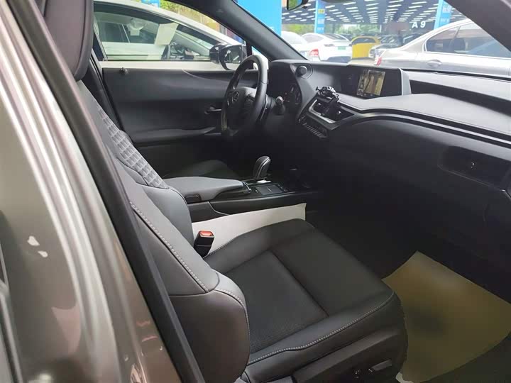 Lexus UX Hybrid 2020 2020款 300e 纯·悦版