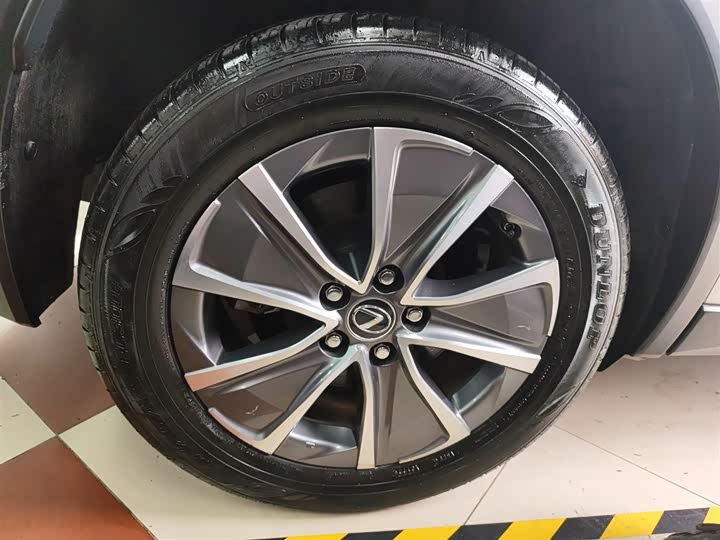 Lexus UX Hybrid 2020 2020款 300e 纯·悦版