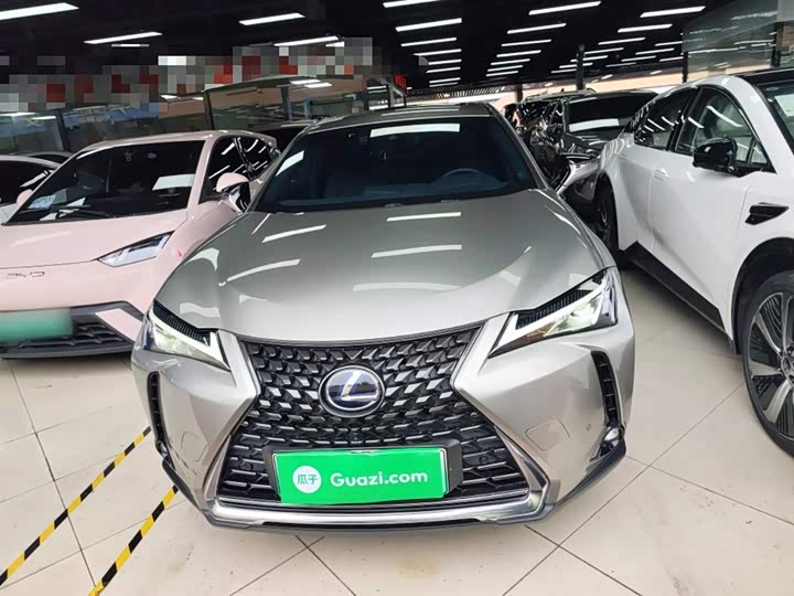 Lexus UX Hybrid 2020 2020款 300e 纯·悦版