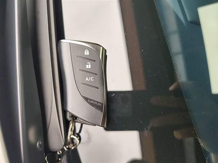 Lexus UX Hybrid 2020 2020款 300e 纯·悦版