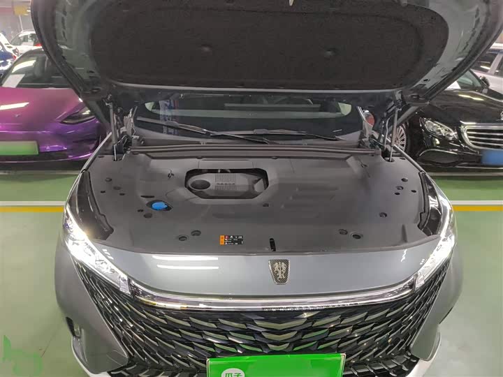 Roewe RX5 Hybrid 2023 2023款 eRX5 超混尊荣版