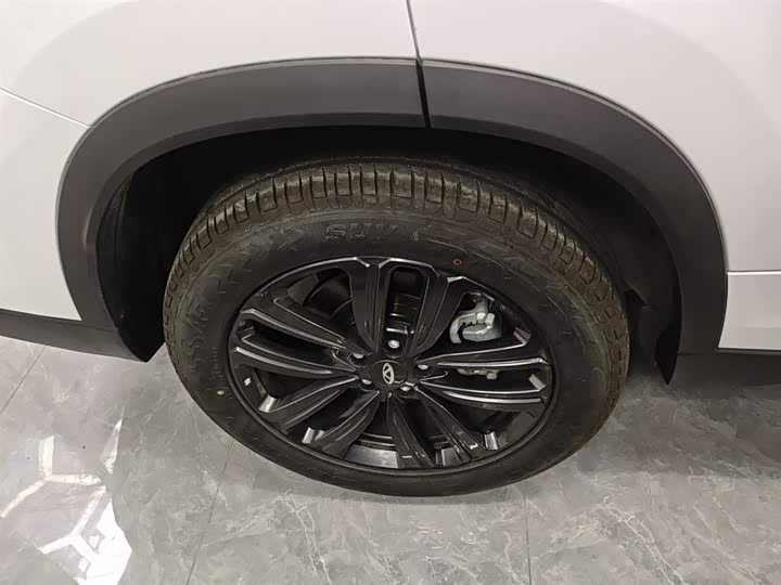 Chery Tiggo 8 2024 2024款 230TCI 自动新潮版 5座