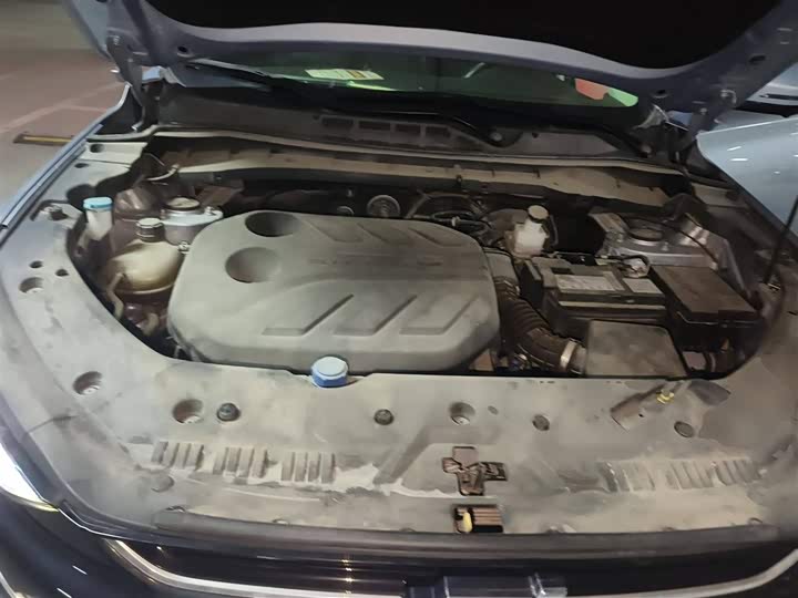 Changan Oshan X7 Plus 2022 2022款 1.5T 蓝鲸版自动尊贵型