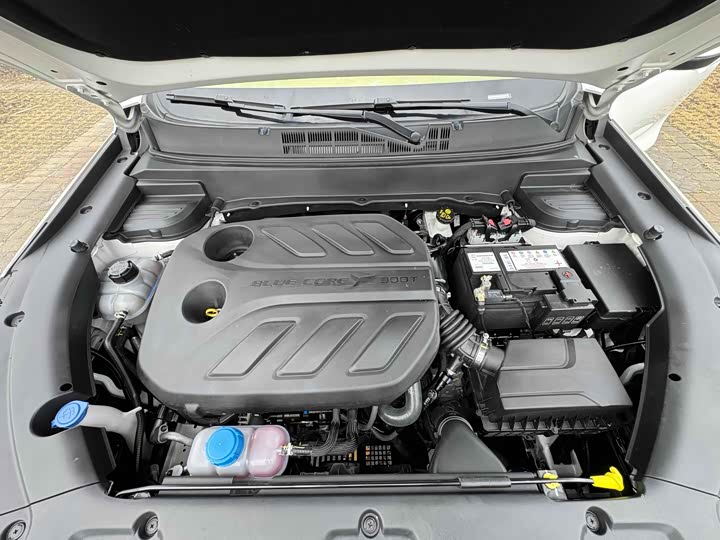 Changan Oshan X5 2022 2022款 运动版 1.5T DCT飓风音速