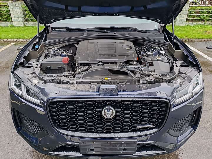 Jaguar F-Pace 2024 2024款 P250 R-Dynamic SE