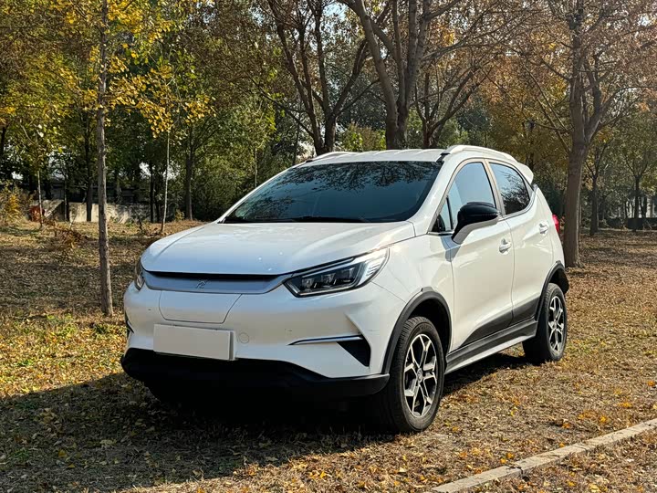 BYD Yuan Pro 2021 2021款 401KM 豪华型