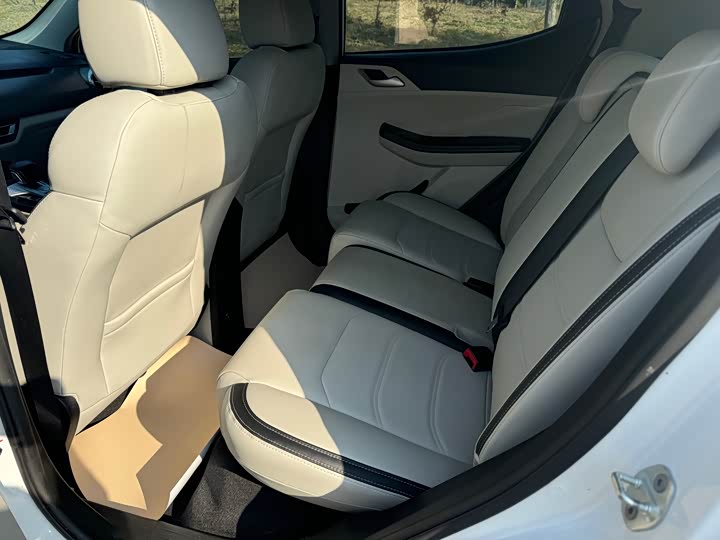 BYD Yuan Pro 2021 2021款 401KM 豪华型