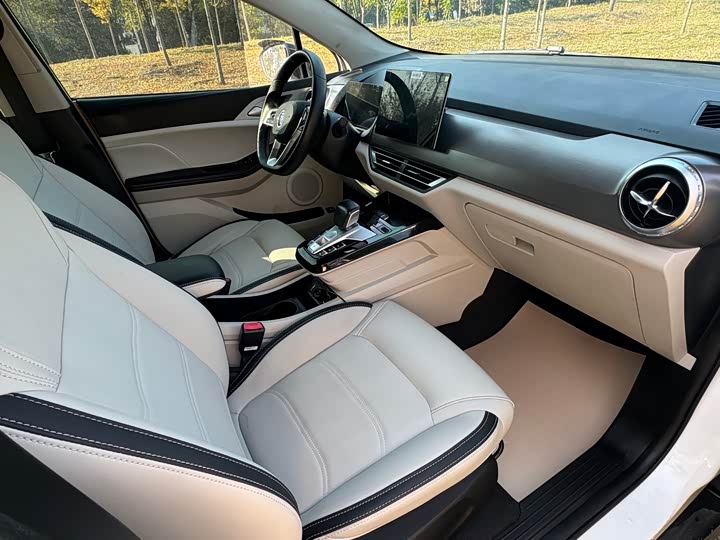 BYD Yuan Pro 2021 2021款 401KM 豪华型