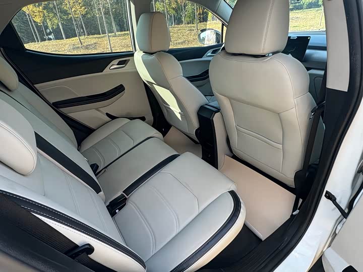 BYD Yuan Pro 2021 2021款 401KM 豪华型