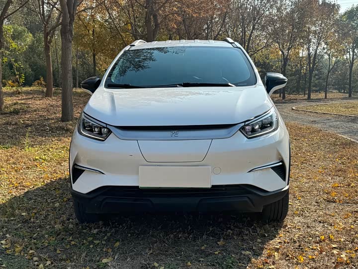 BYD Yuan Pro 2021 2021款 401KM 豪华型