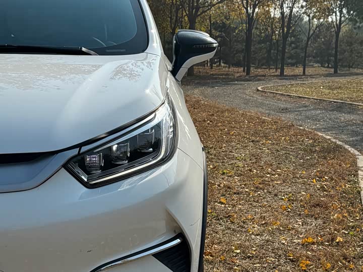 BYD Yuan Pro 2021 2021款 401KM 豪华型
