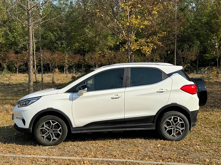 BYD Yuan Pro 2021 2021款 401KM 豪华型