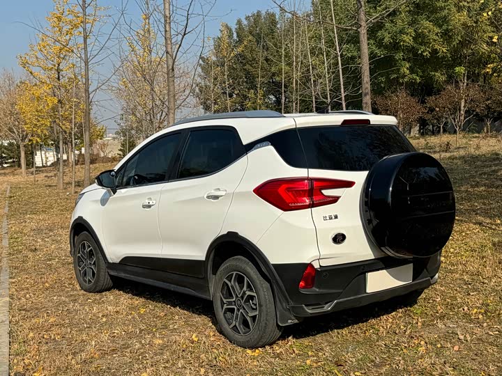 BYD Yuan Pro 2021 2021款 401KM 豪华型